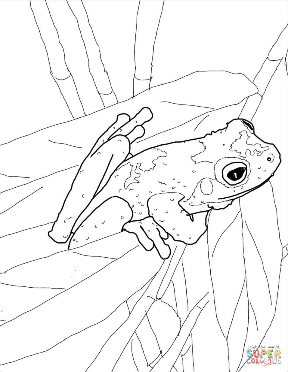 200+ Frog Coloring Pages 53