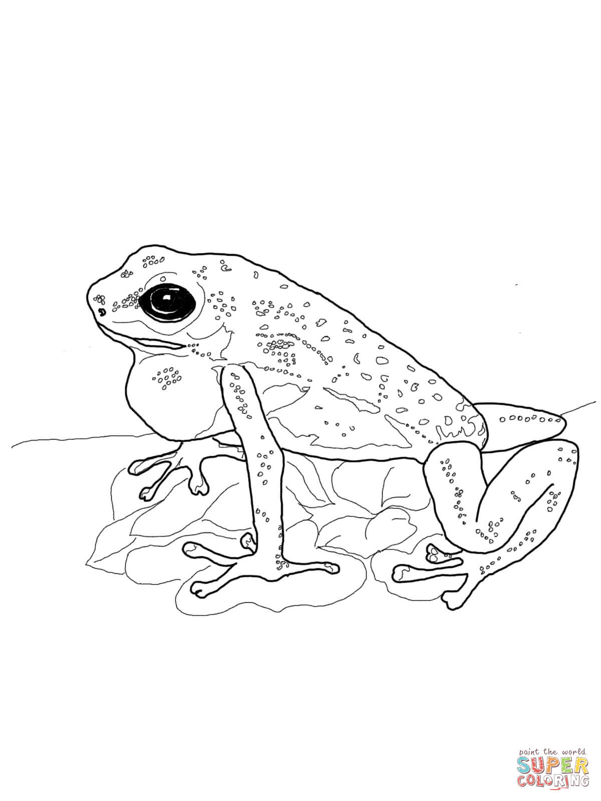 200+ Frog Coloring Pages 61