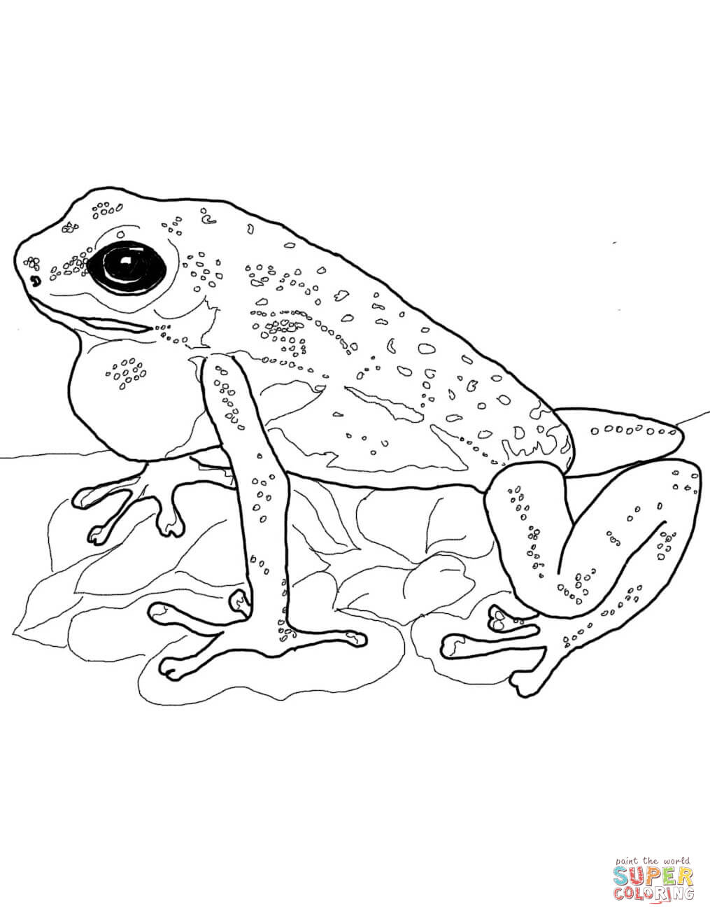 200+ Frog Coloring Pages 64