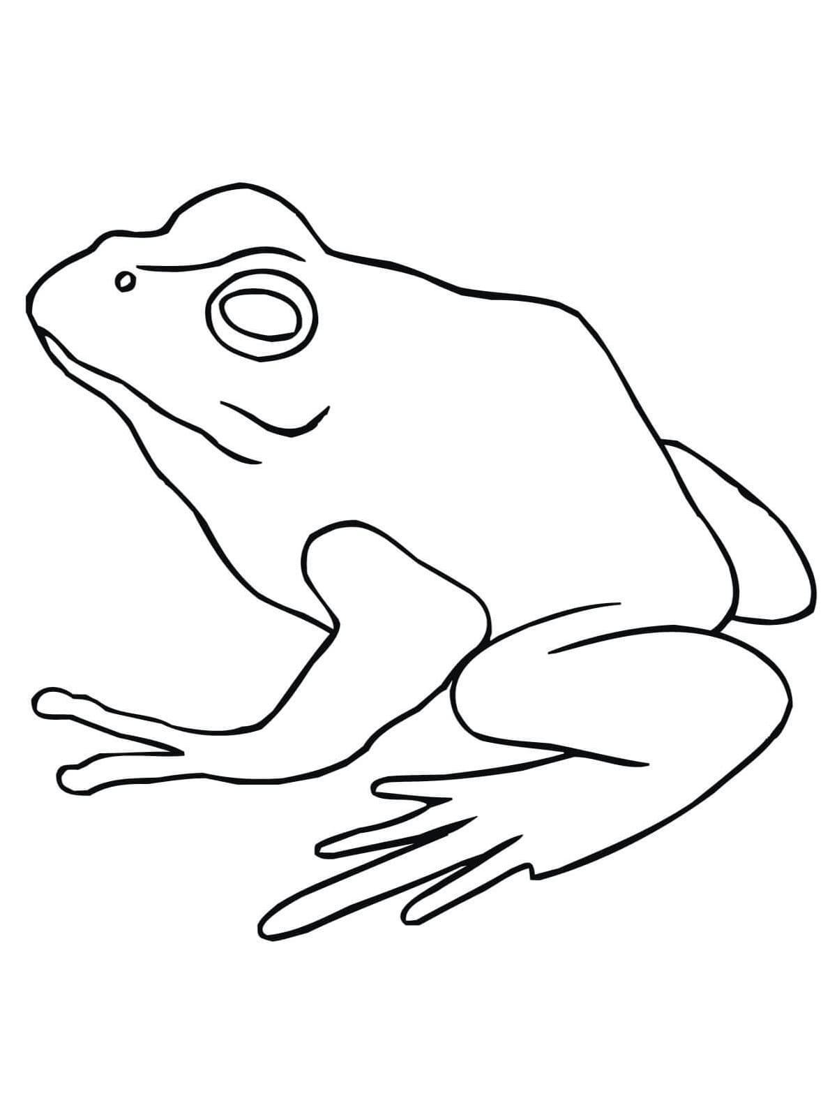 200+ Frog Coloring Pages 89