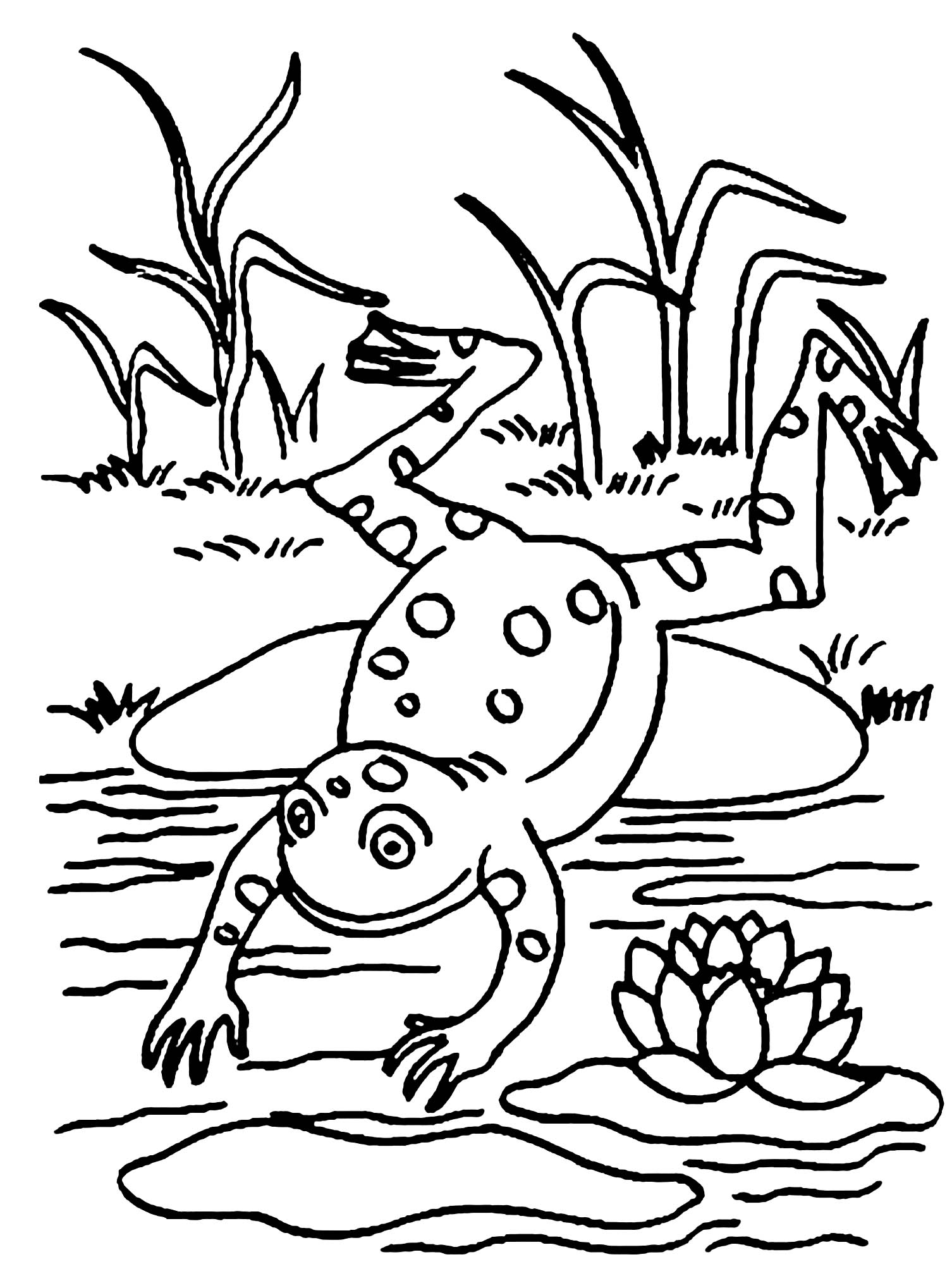 200+ Frog Coloring Pages 93