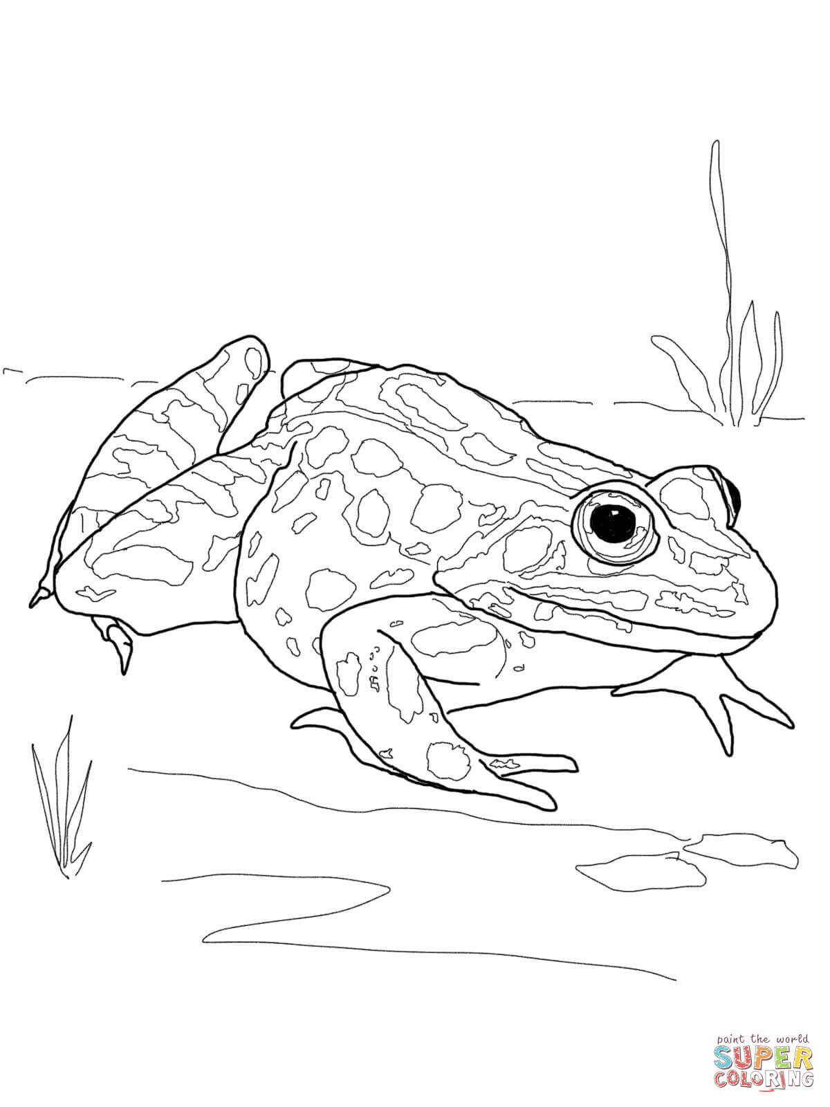 200+ Frog Coloring Pages 98