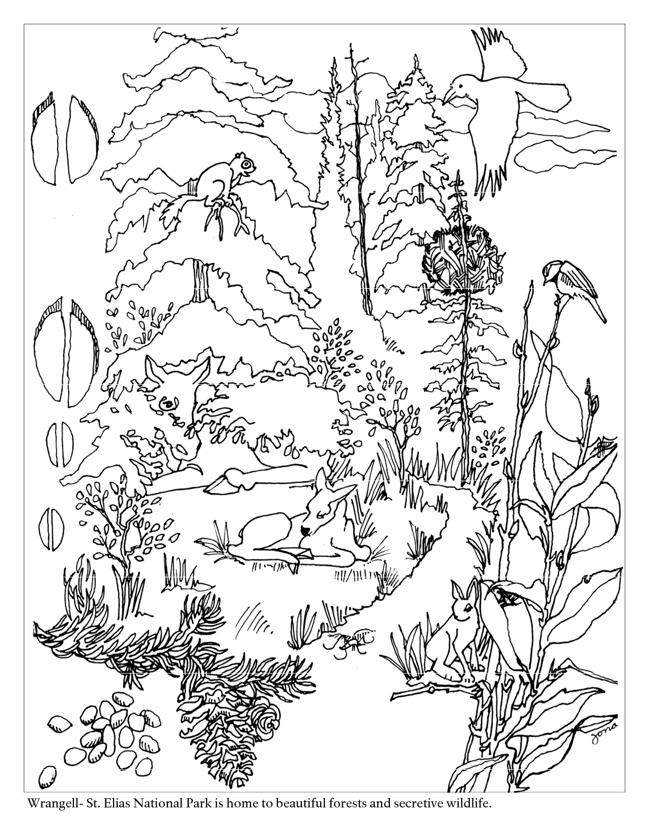 106 Forest Coloring Pages Printable 1