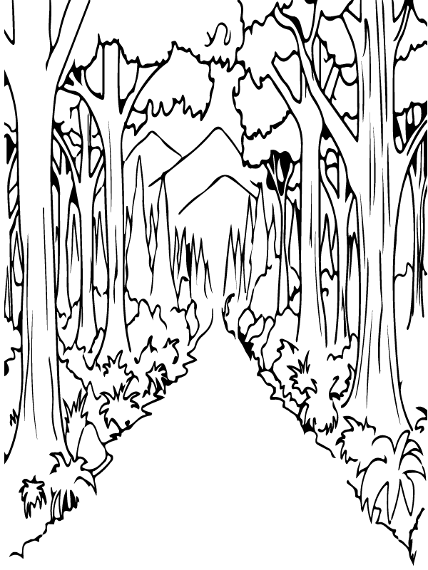 106 Forest Coloring Pages Printable 100