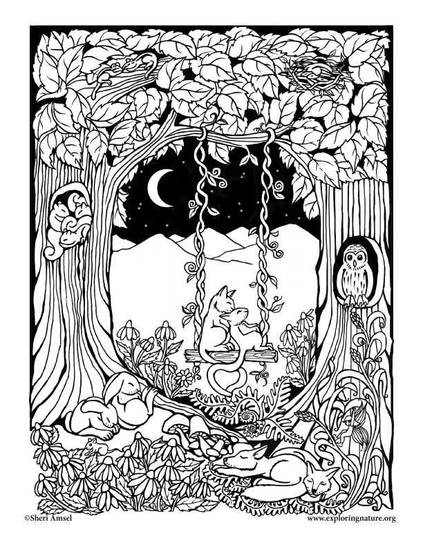 106 Forest Coloring Pages Printable 101