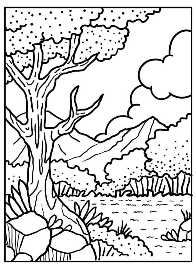 106 Forest Coloring Pages Printable 103