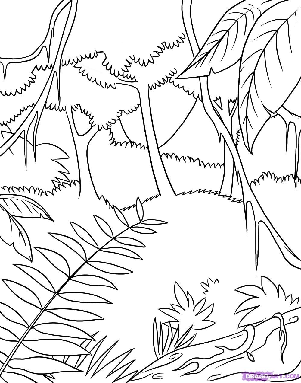 106 Forest Coloring Pages Printable 14