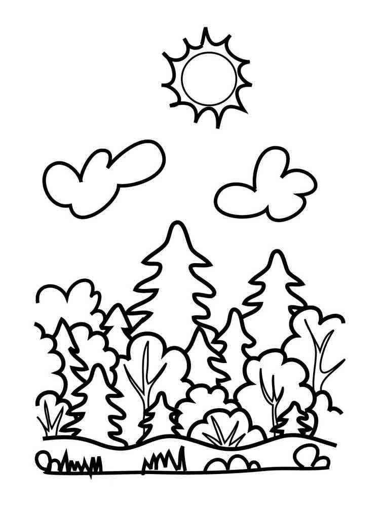 106 Forest Coloring Pages Printable 2