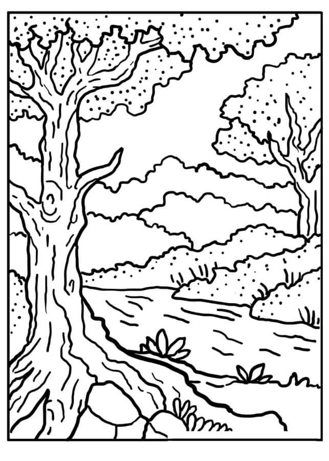 106 Forest Coloring Pages Printable 20