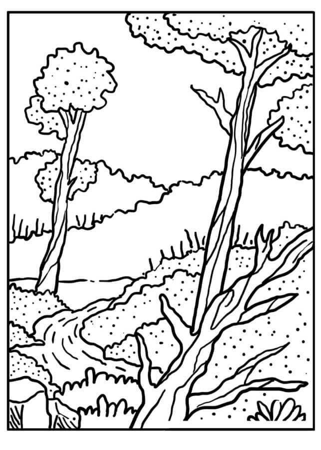 106 Forest Coloring Pages Printable 23