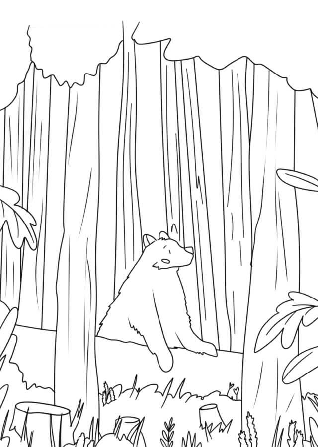 106 Forest Coloring Pages Printable 33