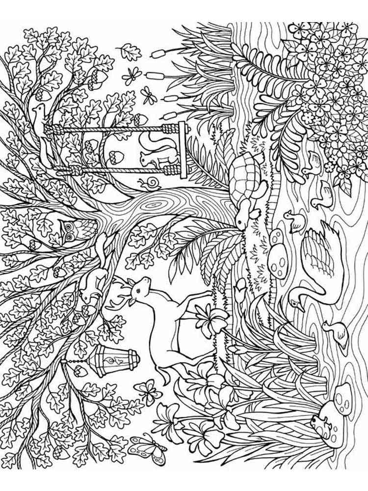 106 Forest Coloring Pages Printable 4