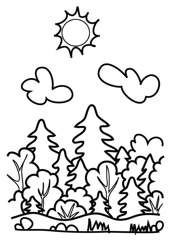 106 Forest Coloring Pages Printable 40