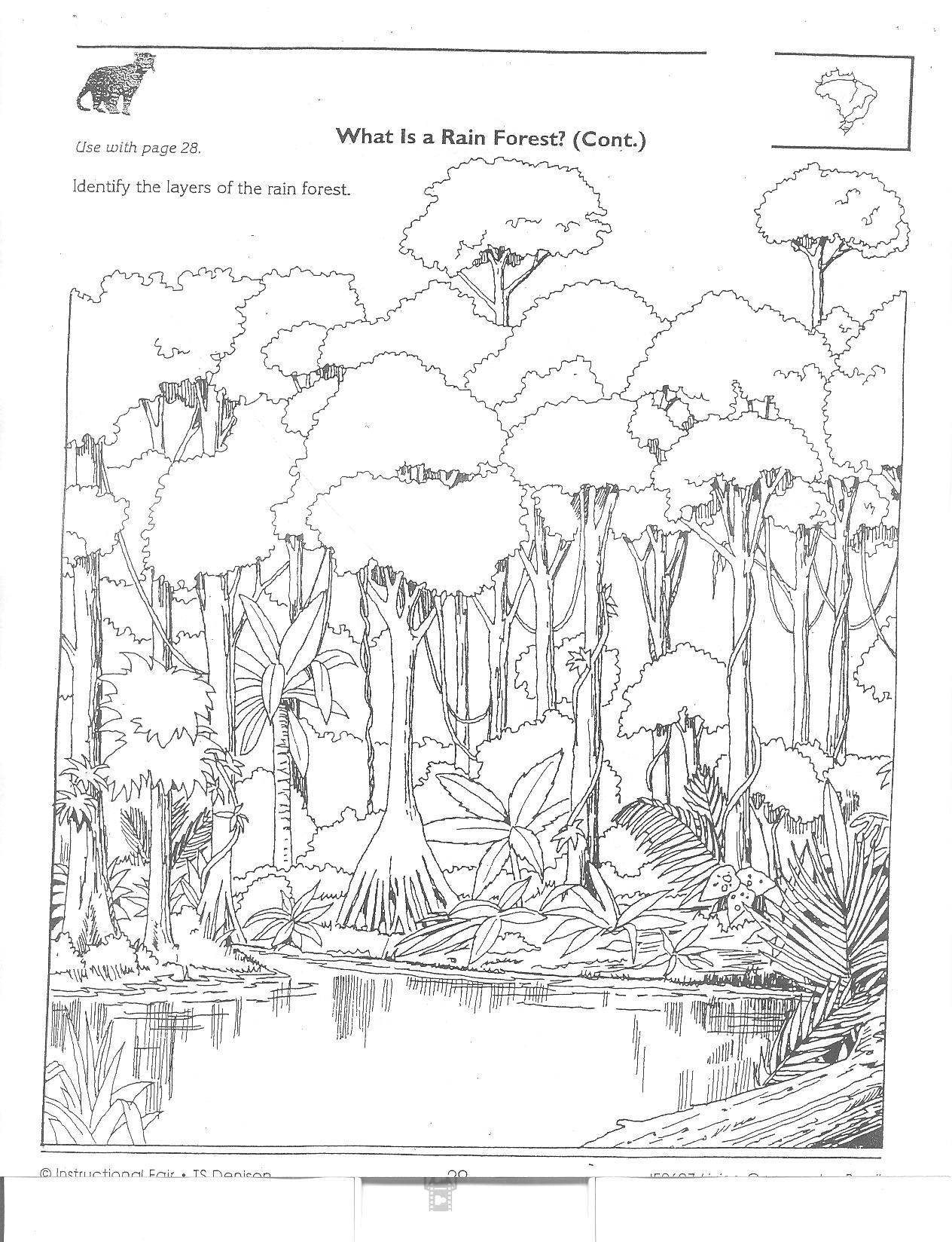 106 Forest Coloring Pages Printable 41