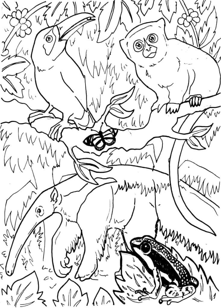 106 Forest Coloring Pages Printable 42