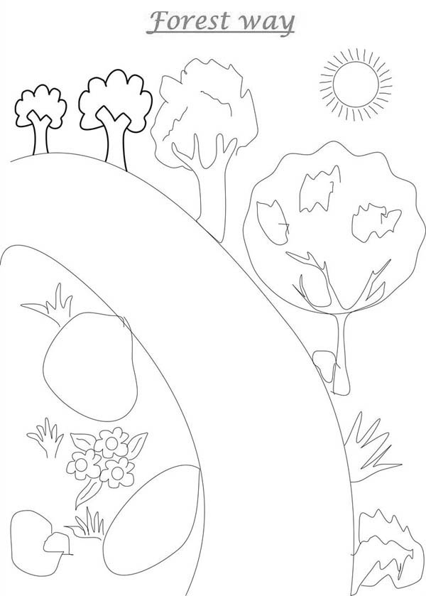 106 Forest Coloring Pages Printable 47