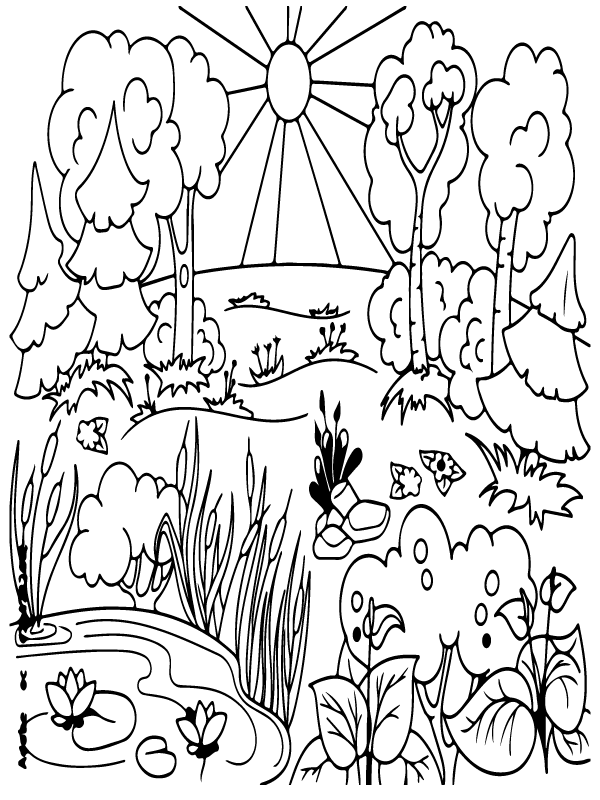 106 Forest Coloring Pages Printable 5