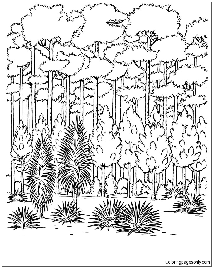 106 Forest Coloring Pages Printable 51