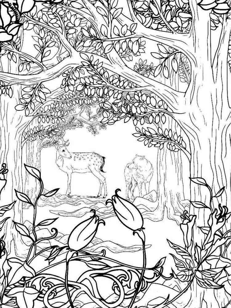 106 Forest Coloring Pages Printable 61