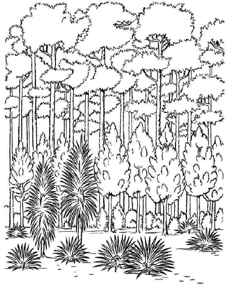 106 Forest Coloring Pages Printable 62