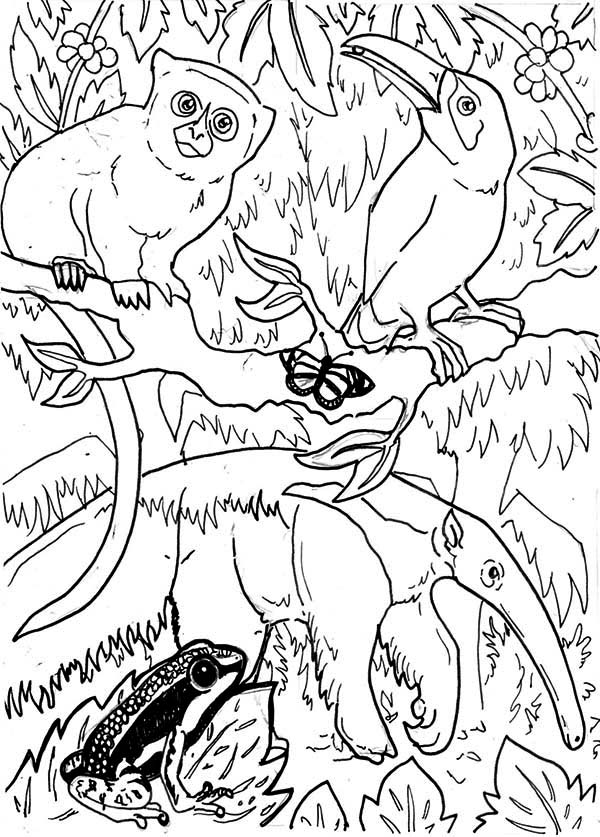 106 Forest Coloring Pages Printable 64