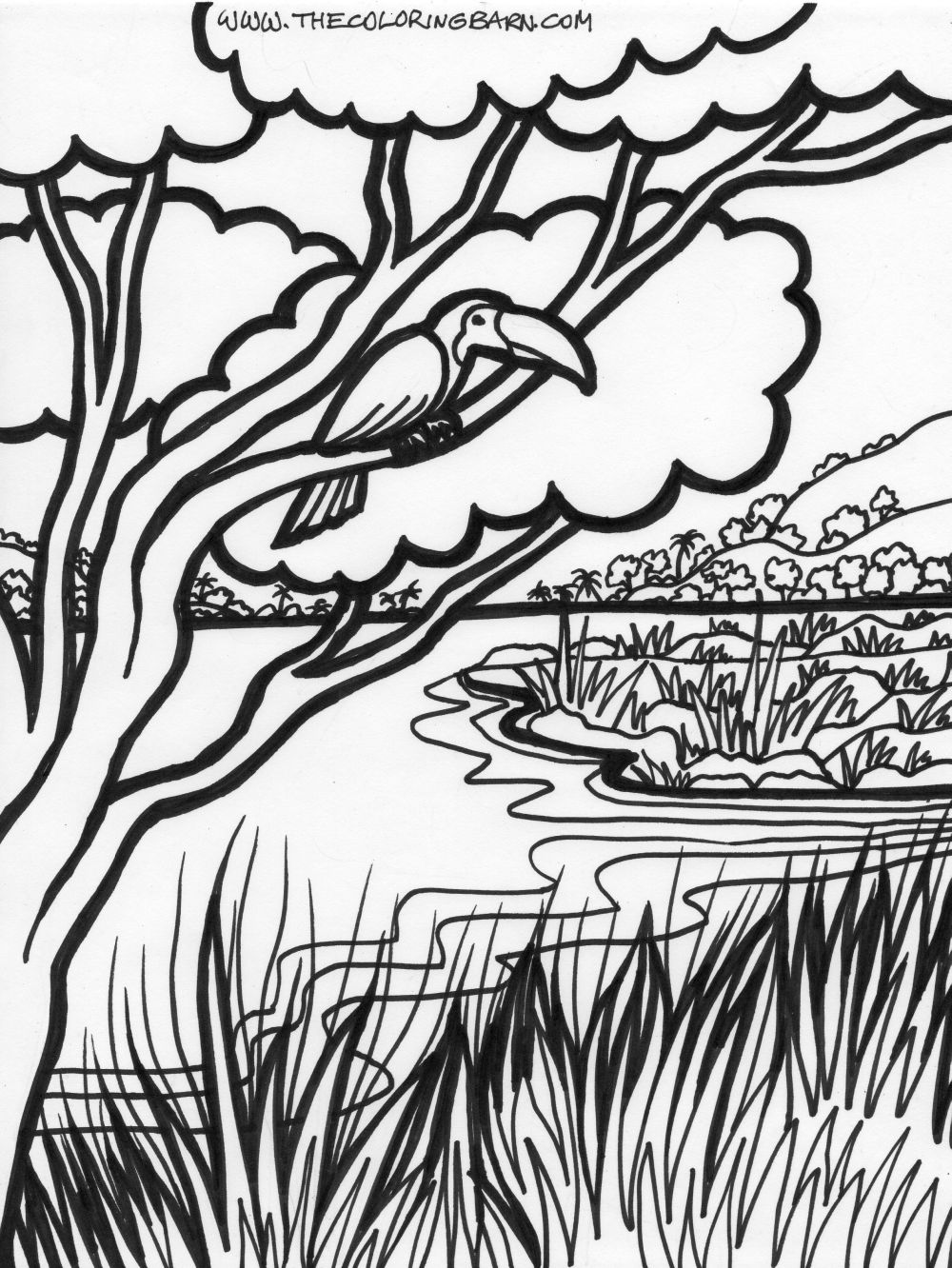 106 Forest Coloring Pages Printable 72