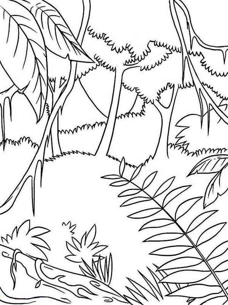 106 Forest Coloring Pages Printable 75