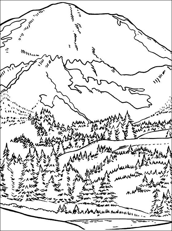 106 Forest Coloring Pages Printable 79