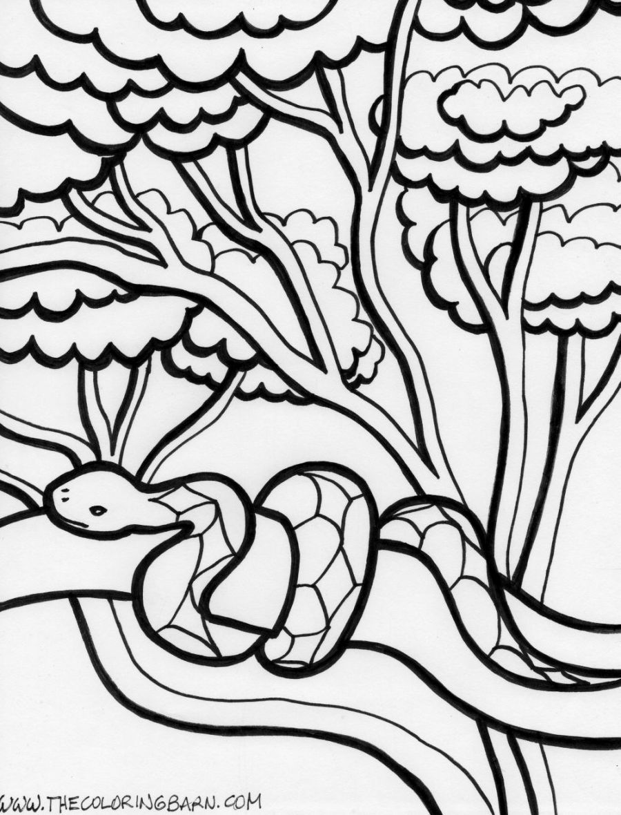 106 Forest Coloring Pages Printable 89