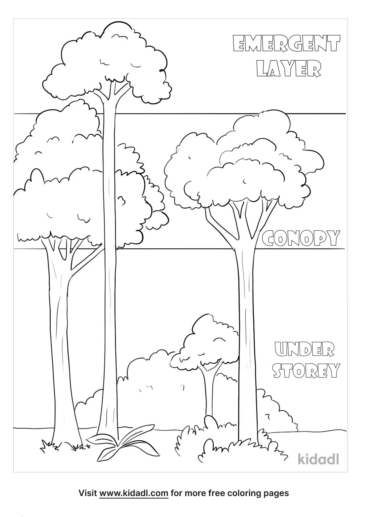 106 Forest Coloring Pages Printable 9