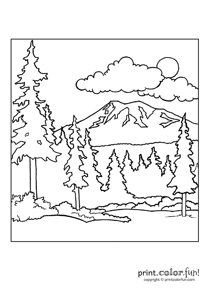 106 Forest Coloring Pages Printable 90