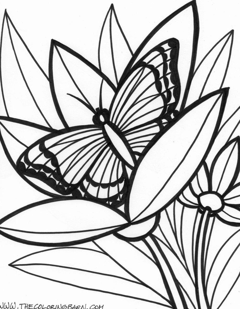 106 Forest Coloring Pages Printable 91