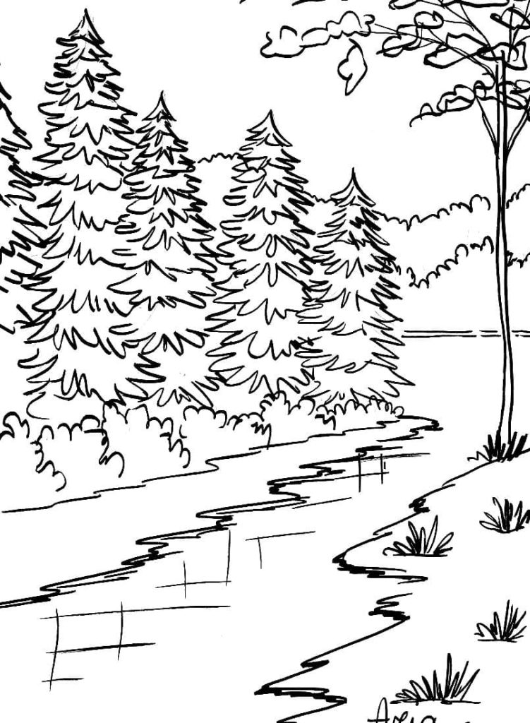 106 Forest Coloring Pages Printable 93