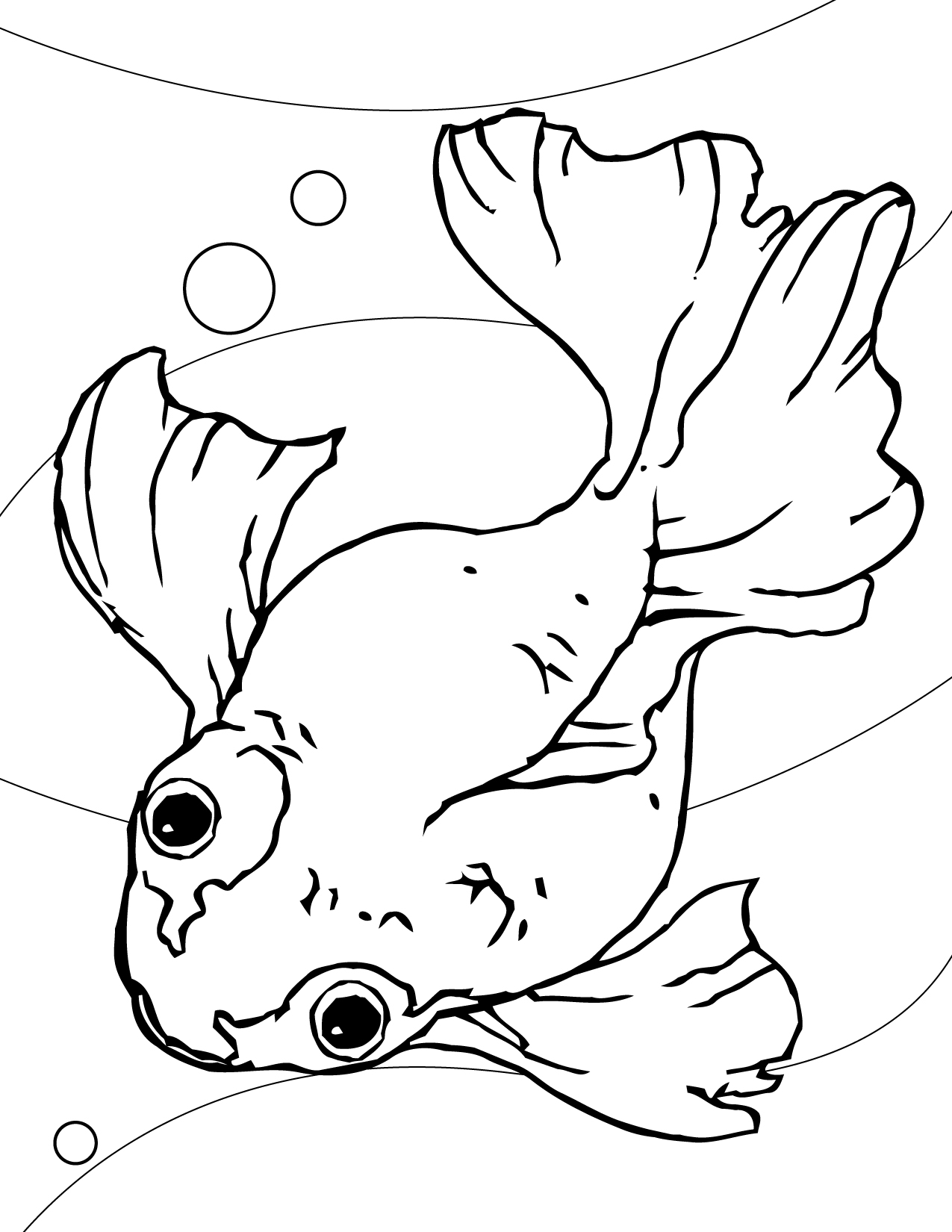 109 Free Printable Goldfish Coloring Pages for Kids 1