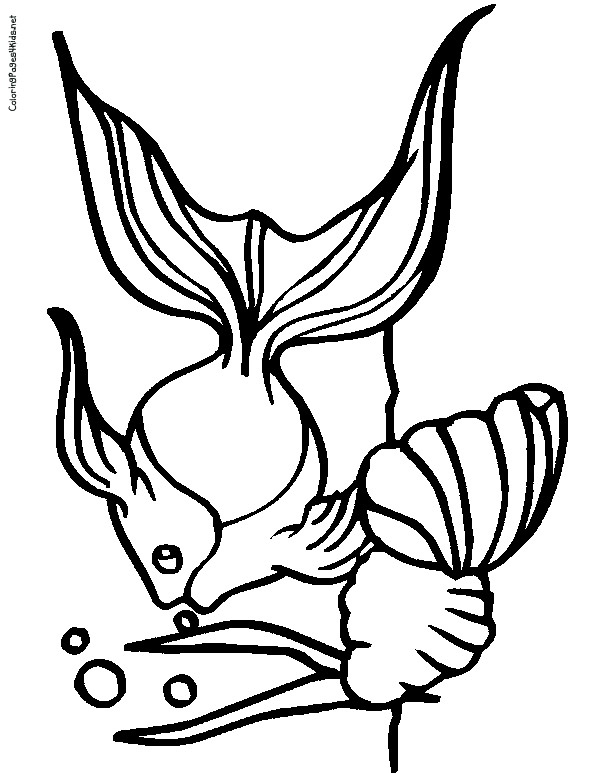 109 Free Printable Goldfish Coloring Pages for Kids 15