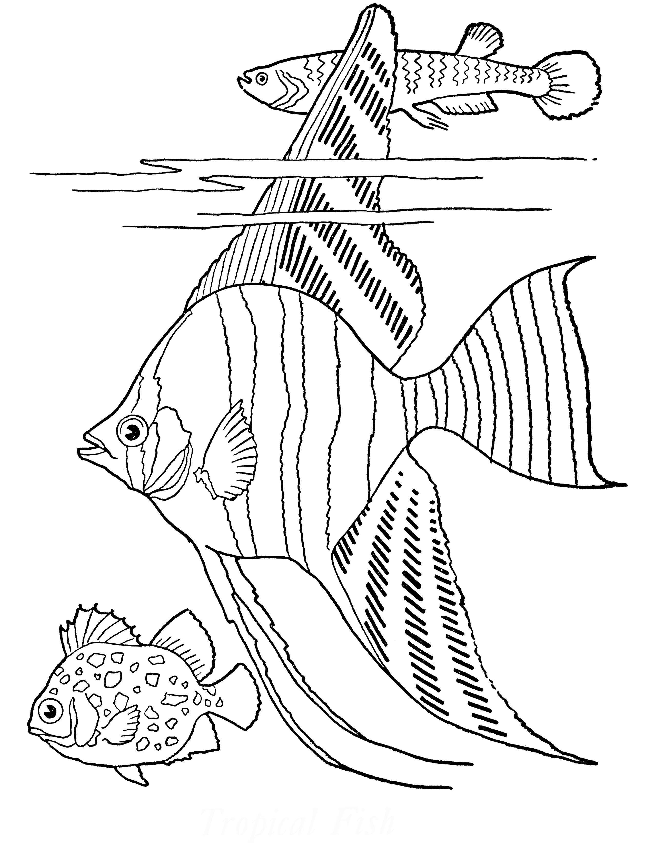 109 Free Printable Goldfish Coloring Pages for Kids 18