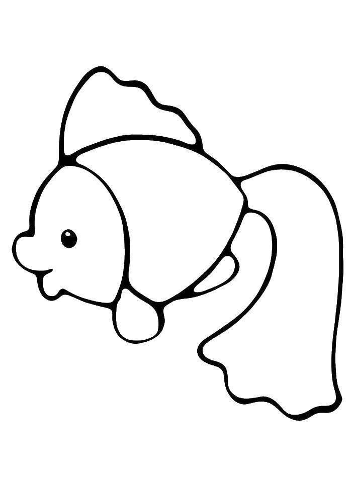 109 Free Printable Goldfish Coloring Pages for Kids 4