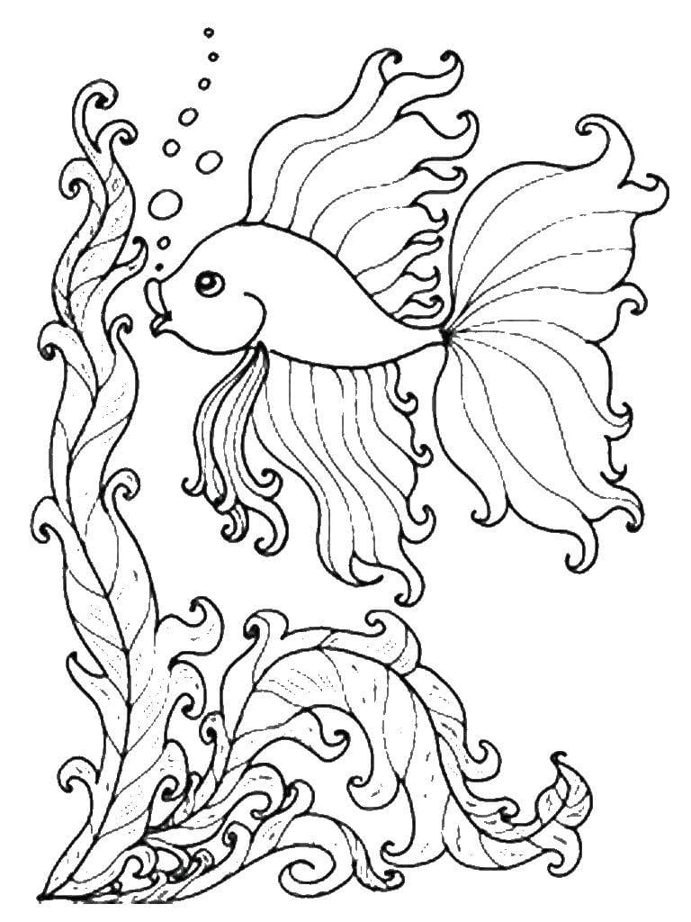 109 Free Printable Goldfish Coloring Pages for Kids 7