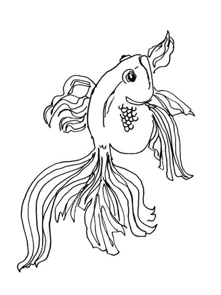 109 Free Printable Goldfish Coloring Pages for Kids 73