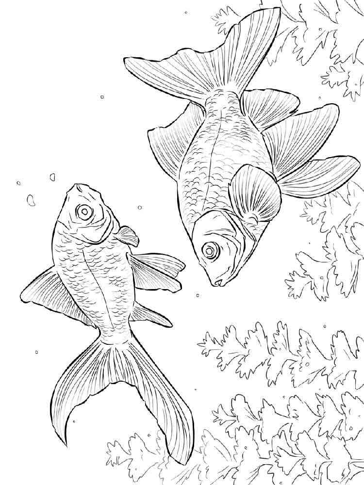 109 Free Printable Goldfish Coloring Pages for Kids 86