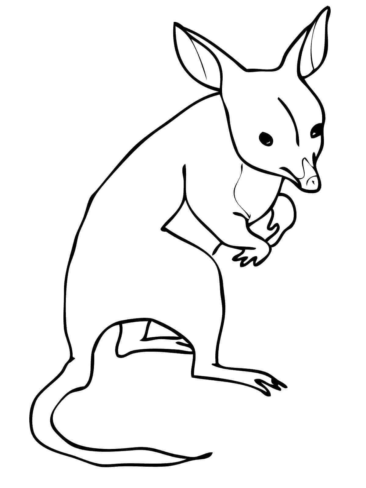 110 Crash Bandicoot Coloring Pages Printable 12