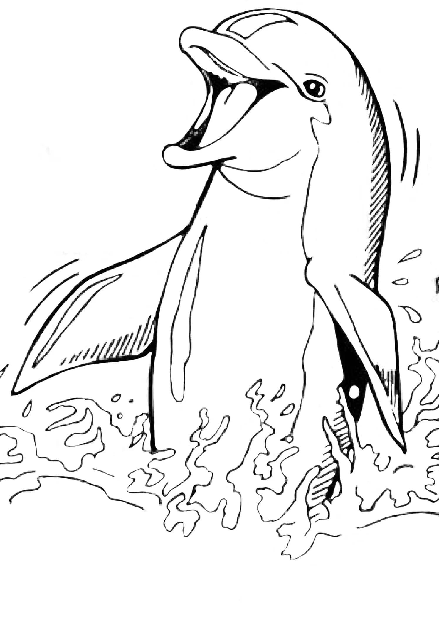 30 Playful Dolphin Coloring Pages Printable 11