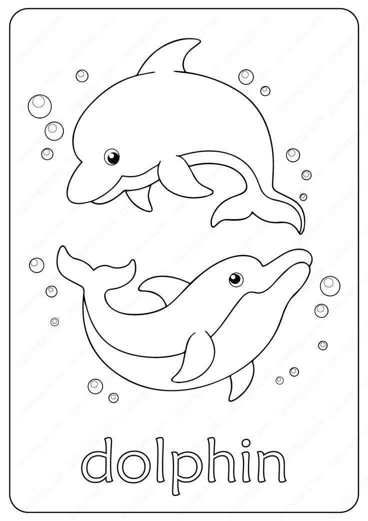 30 Playful Dolphin Coloring Pages Printable 14