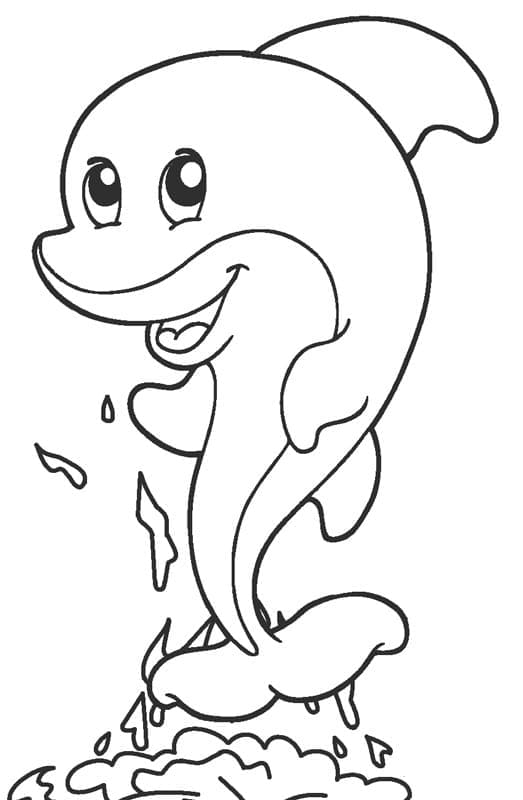 30 Playful Dolphin Coloring Pages Printable 15