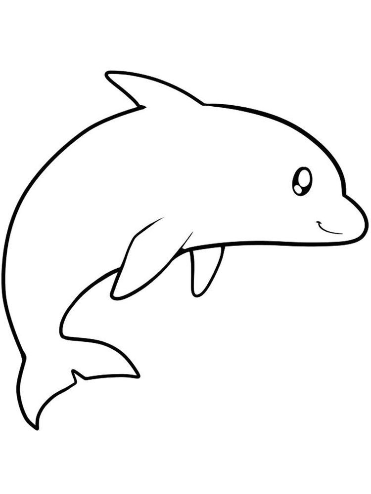 30 Playful Dolphin Coloring Pages Printable 18