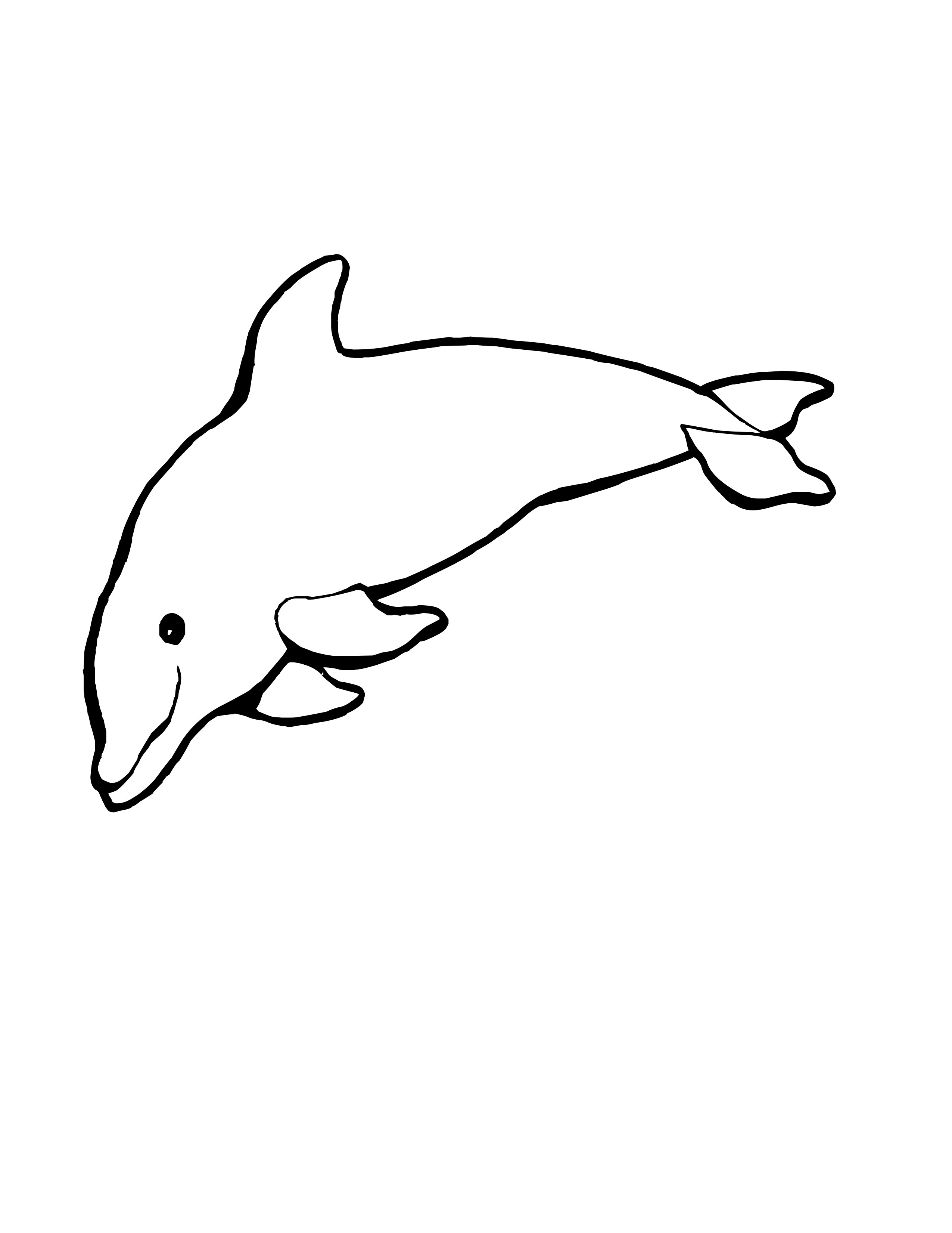 30 Playful Dolphin Coloring Pages Printable 19