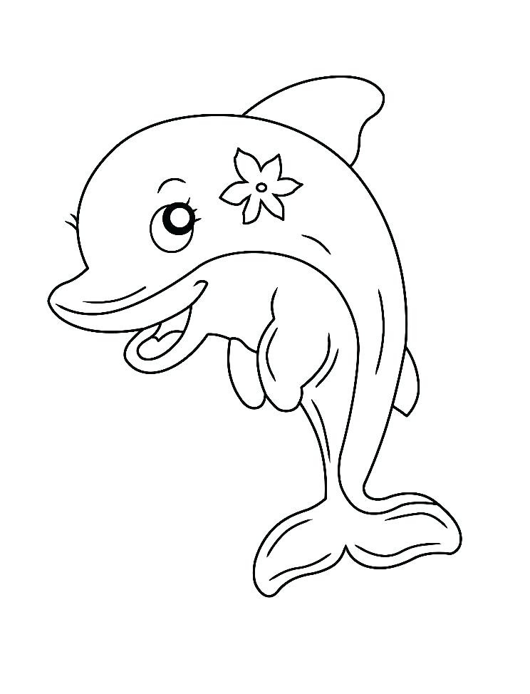 30 Playful Dolphin Coloring Pages Printable 26