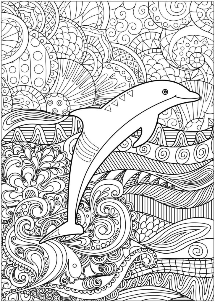 30 Playful Dolphin Coloring Pages Printable 30