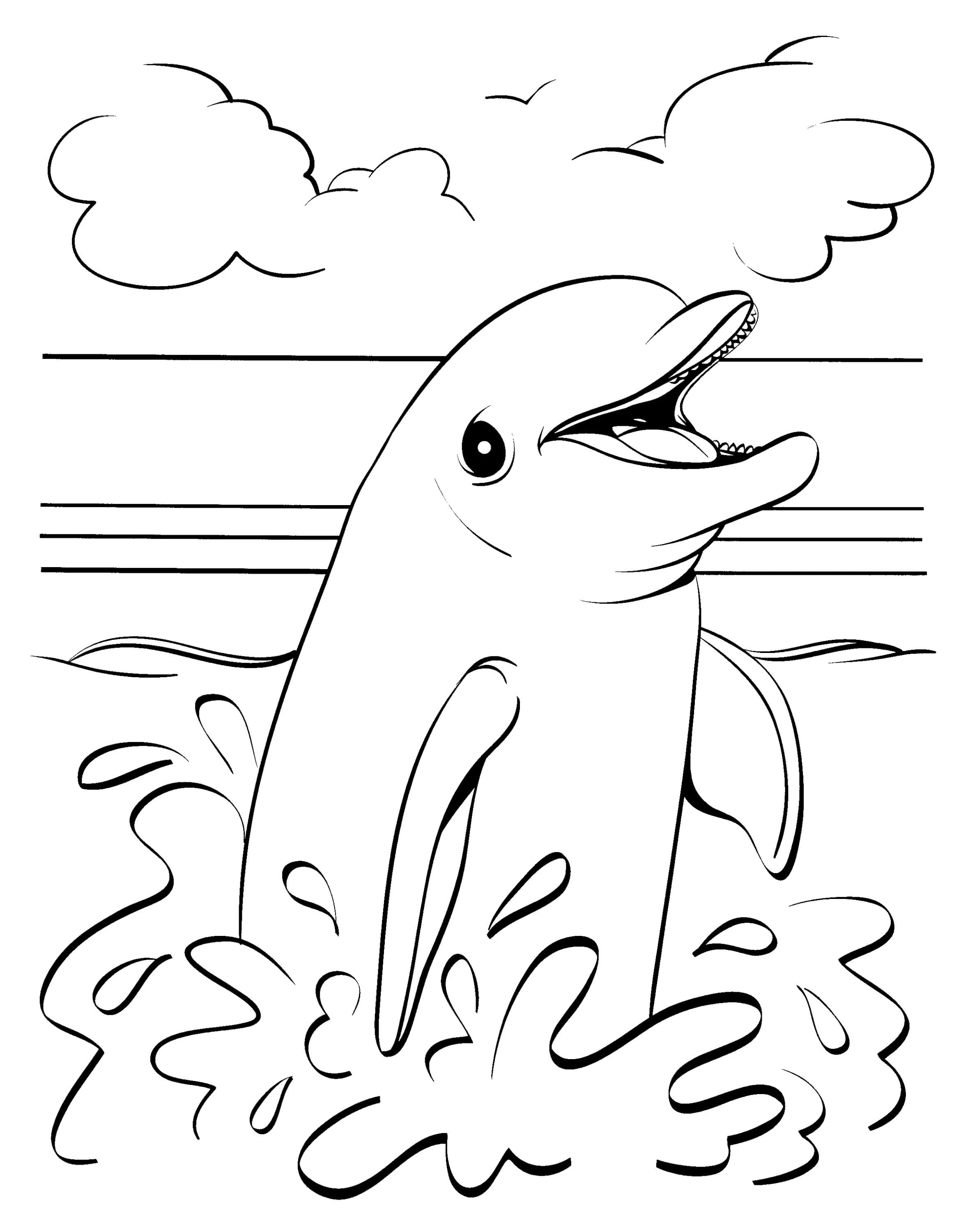 30 Playful Dolphin Coloring Pages Printable 31