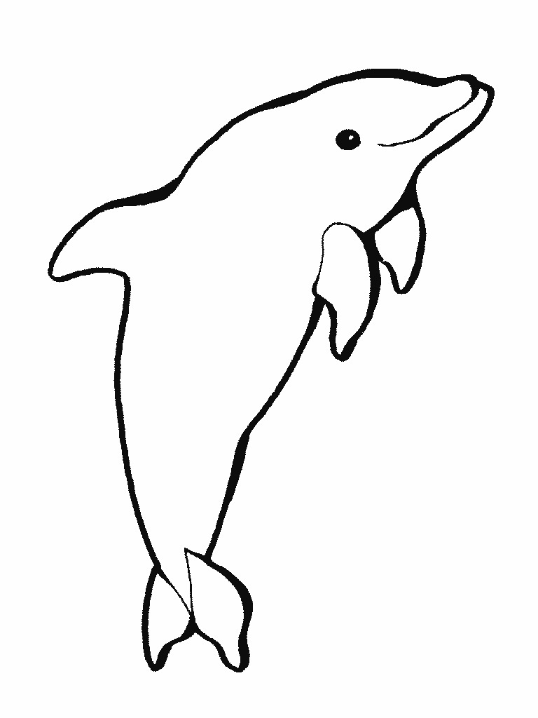 30 Playful Dolphin Coloring Pages Printable 33